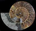 Wide Split Ammonite Pair - Crystal Chambers #37033-3